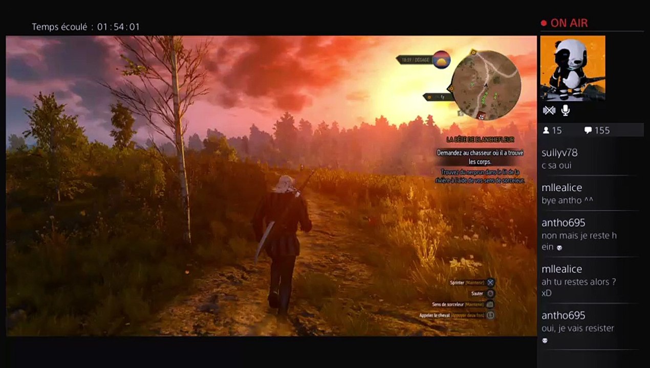 2015-05-24 Live The Witcher III part 5