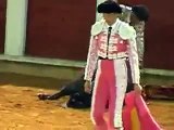 Así es la realidad de los Toros, NO ES ARTE NI CULTURA, ES TORTURA.