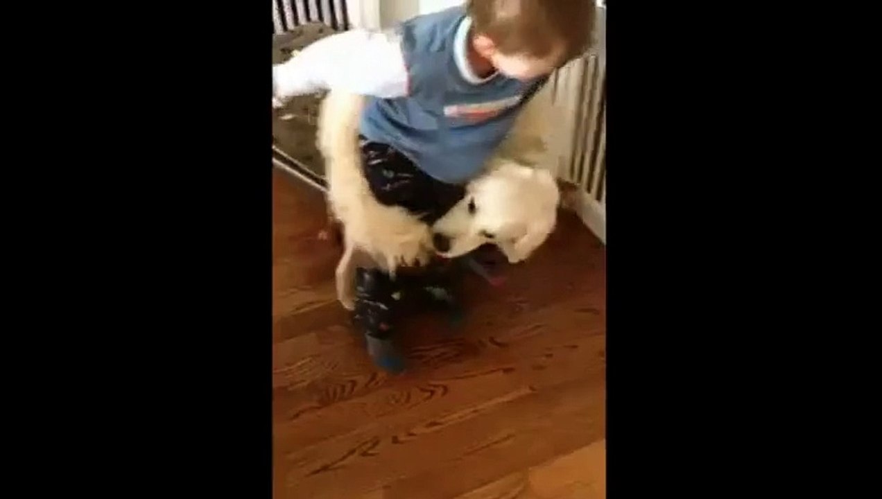 Dog Hugs Little Boy
