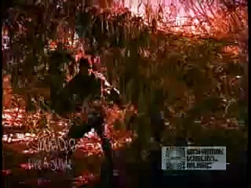 C-Murder Like A Jungle    - Bohemia After Dark