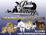 kiwi SENEGAL BROWN HEADED PARROT Pet sitter Menifee - Inland Empire private sitter care