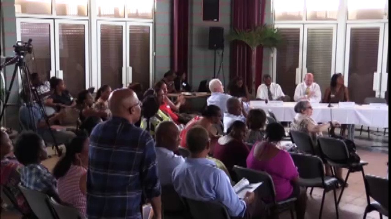 Intervention de Anne-Lise Thomas, responsable du pôle Gestion et Animation des Systèmes d'Information de CAP Nord Martinique