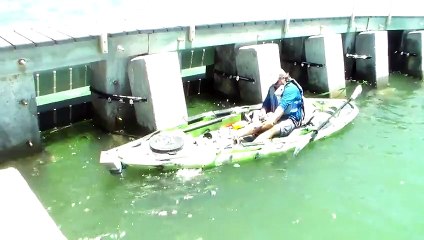 Challenge pour cet homme : Ramener un poisson de 250 kilos avec son kayak !