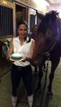 Horse blows out his birthday candles!