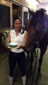 Un cheval souffle ses bougies d'anniversaire