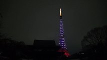 Earth Hour 2012 Tokyo Tower in Japan　～つながる気持ちが 世界を変える～