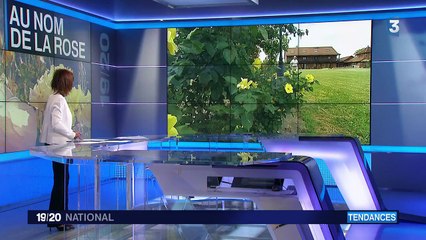 Lyon, capitale de la rose le temps d'un week-end