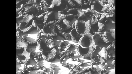 Shocking Footage from Auschwitz Concentration Camp