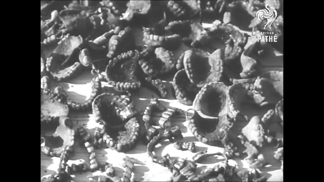 Shocking Footage from Auschwitz Concentration Camp