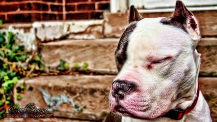 Canon 7D HDR Video Test