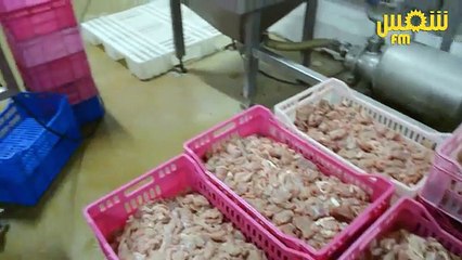 لطمأنة الناس المزرعة تنشر مراحل تحضير الصلامي