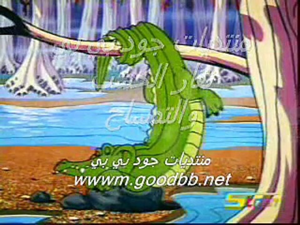 نقار الخشب والتمساح
