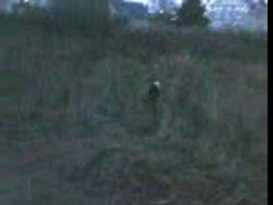 VID006