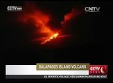 Galapagos Islands volcano erupts