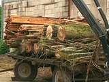 Champagne Ardenne : Développer le chauffage au bois
