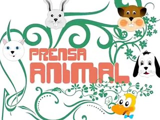 Casimiro visita a Gustavo Larios de México Antitaurino