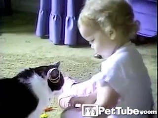 Feline Fashionista- PetTube