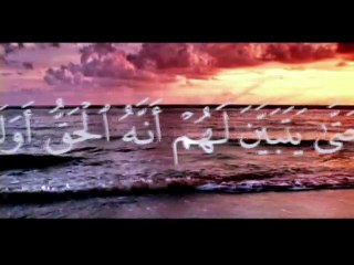 Miracle La création d'ALLAH !! Magnifique !!معجزة الله في خلق الكون