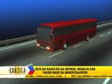 What caused passenger bus to plunge from Skyway?