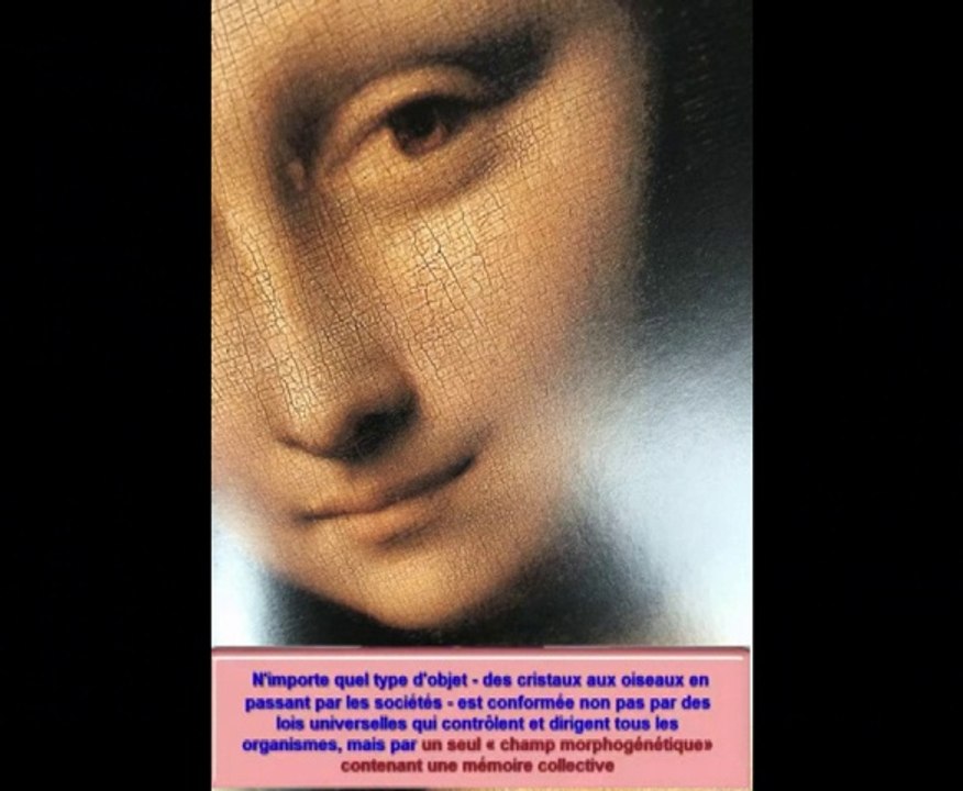 RESONANCE MORPHOGENETIQUE