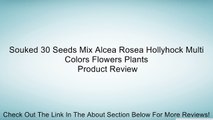 Souked 30 Seeds Mix Alcea Rosea Hollyhock Multi Colors Flowers Plants Review