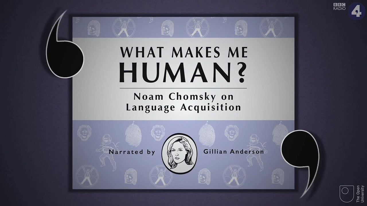 Noam Chomsky on Language Aquisition