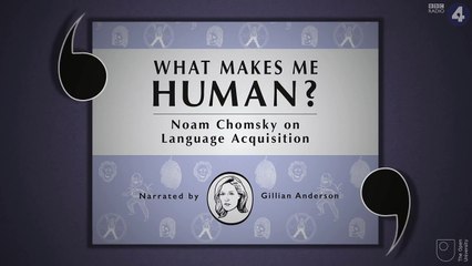 Noam Chomsky on Language Aquisition