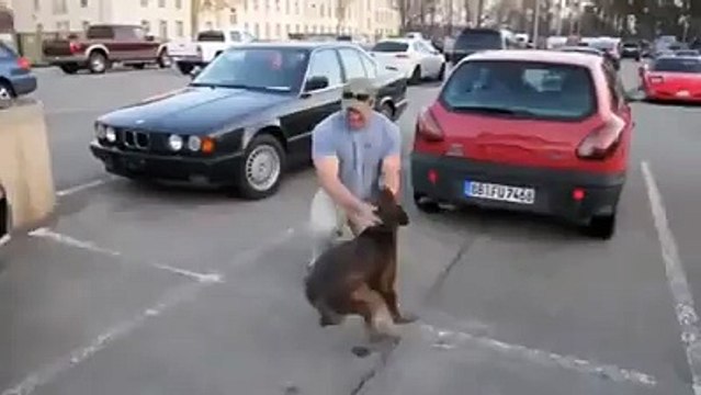 8 Ay Sonra Sahibine Kavuşan Köpeğin Mutluluğu..