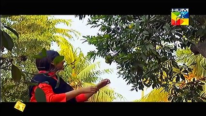 Jugnoo OST Hum TV Drama