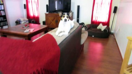 CUTE GIRLS SHOOT GUNS! (1.26.12 - Day 1001)