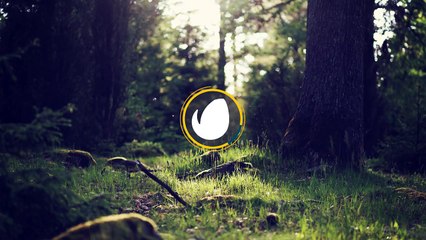 After Effects Project Files - Colorful Lower Third - VideoHive 9205994