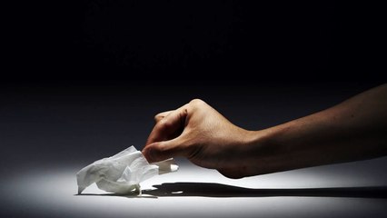 Amazing Tissue Paper Stop Motion Animals