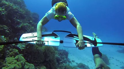 Underwater Flight - Introducing the Subwing Honeycomb