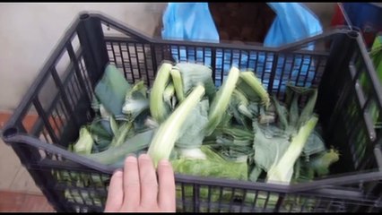 #HuertoUrbano. Cómo reciclar la basura y convertirla en COMPOST, abono ecológico