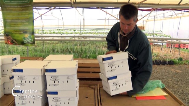 Chemins de traverse : ULM / Bourdons