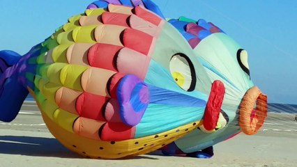Une italienne à Berck pour les cerfs-volants