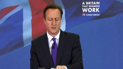 Cameron stands by Shapps in Wiki controversy