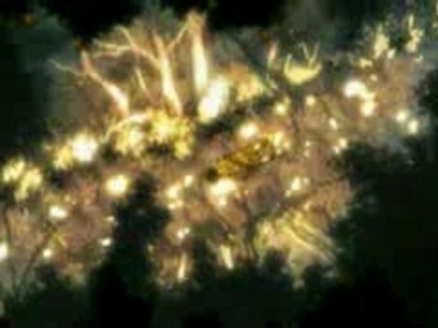 AMVdeFans - Memory Flash Project