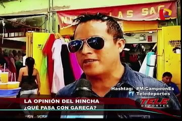 Teledeportes: ¿Qué opina el hincha sobre Ricardo Gareca?