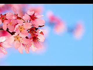 rondo veneziano - bettina