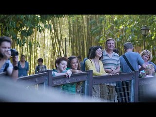 Funny commercials-Geico