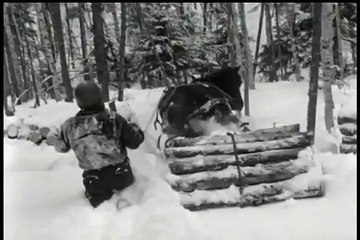 Bucheron de la Manouane (1962) D'ARTHUR LAMOTHE