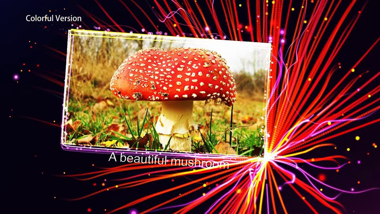 After Effects Project Files - Pretty Beam Show - VideoHive 9009904