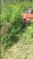 Koszenie chwastów małym traktorkiem. YANMAR F-6 z kosiarką bijakową. www.akant-ogrody.pl