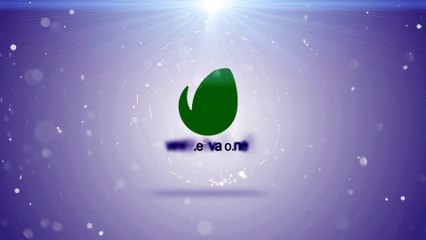 After Effects Project Files - Light Reveal ( Particle Logo) - VideoHive 9071030