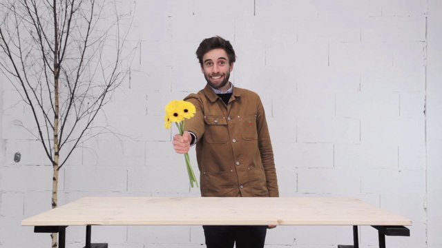 Bombes à graines : comment fleurir sa ville ?