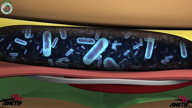 Buenas Practicas de Manufactura ANETIF