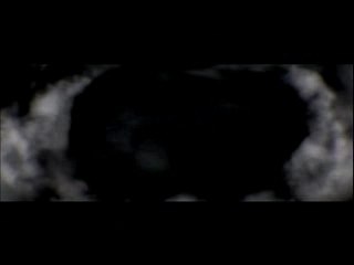 Venetian Snares - Szamar Madar