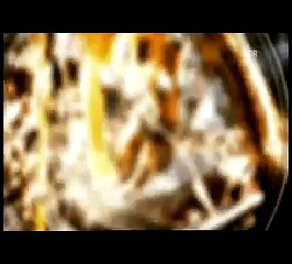 Die Geheime Welt der Tiger - Junge Abenteurer teil 1/5