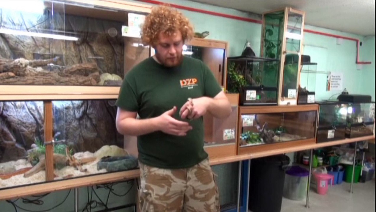 Dartmoor Zoo - The Reptile Room HD